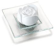 Duftstein Rosenblüte auf Glasteller transparent